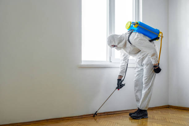 Best Flea Control Services  in Clarksville, VA