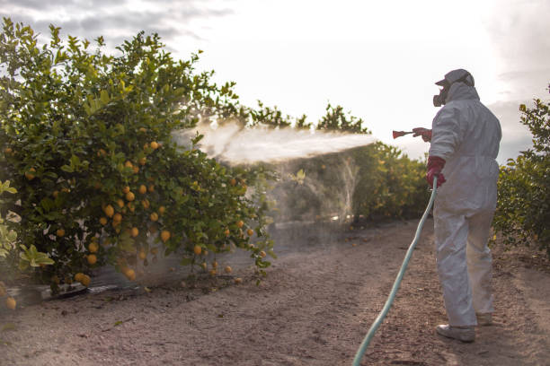 Best Pest Control Near Me  in Clarksville, VA