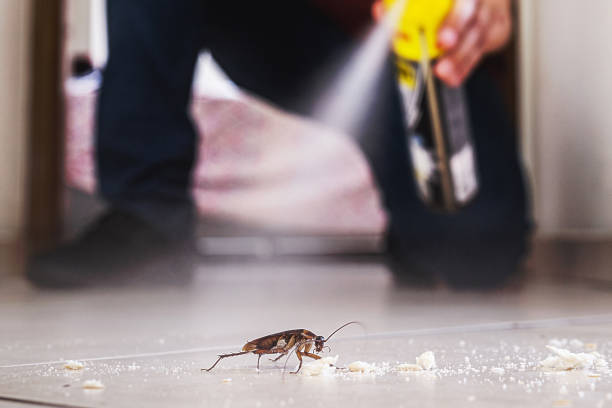 Best Emergency Pest Control  in Clarksville, VA