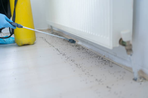 Best Residential Pest Control  in Clarksville, VA