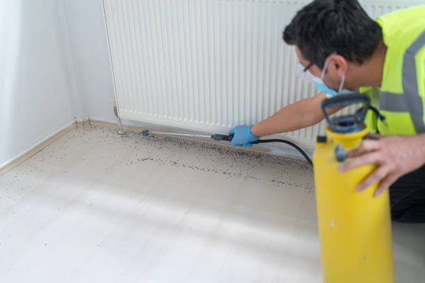 Best Emergency Pest Control  in Clarksville, VA
